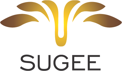 3241d3_f108340271d84f3fb718858a214ece26~mv2